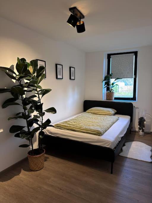 Urban Apartments Weimarer Land Buttelstedt Exterior foto